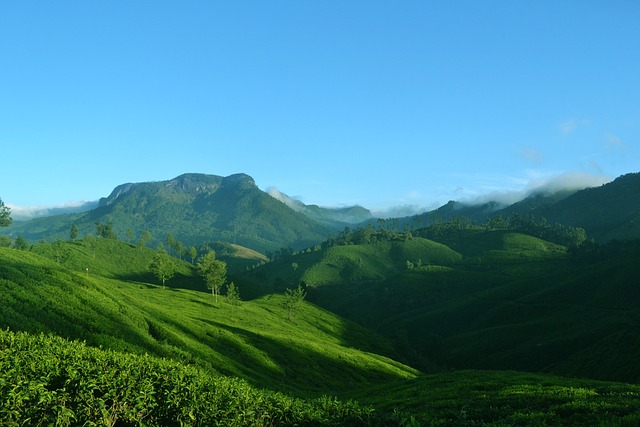 munnar-g17f67a2b4_640