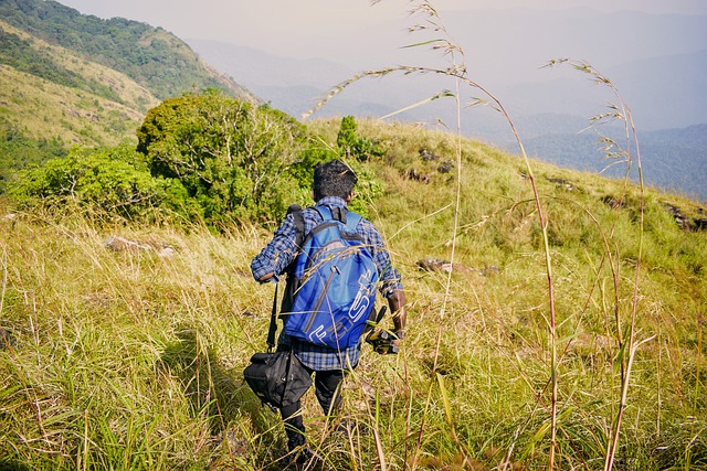 ponmudi-gd411a3f29_640