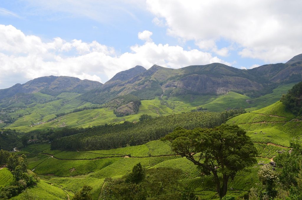 Munnar, Kerala, South India, India Tour Packages