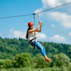 brjbcogv9zivyyi5xla3