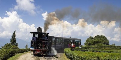 darjeeling-197611_1280