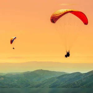 image12_result-2-1675320531314