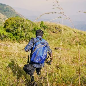 ponmudi-gd411a3f29_640