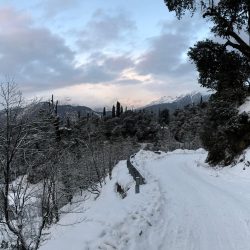 tungnath-6103961_1280